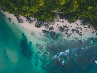 pexels-ollivves-931018